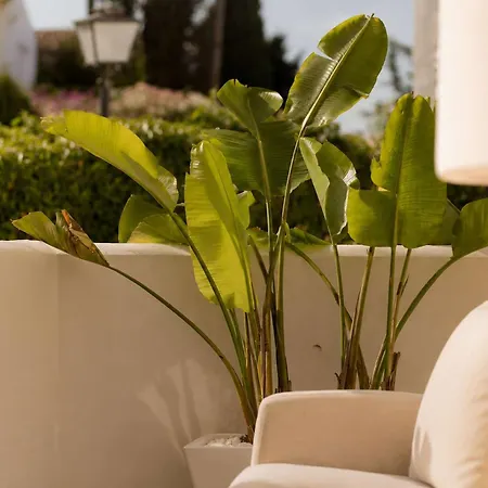 Ivy Pool Nueva Andalucia Bbq * ماربيا