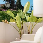 Ivy Pool Nueva Andalucia Bbq Apartament *