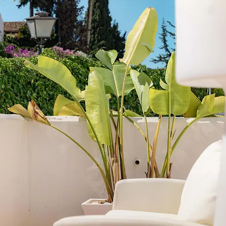 Ivy Pool Nueva Andalucia Bbq Appartement *