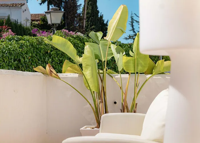 Ivy Pool Nueva Andalucia Bbq Apartamento *